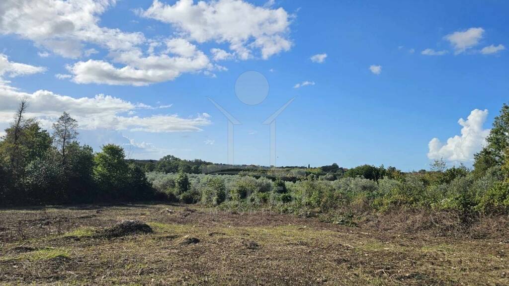 Grundstück zum Kauf 71.550 € 477 m² Grundstück Brtonigla 52466