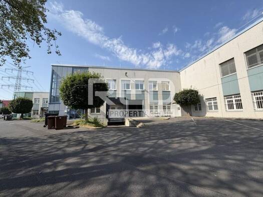 Lagerhalle zur Miete provisionsfrei 6,75 € 1.500 m² Lagerfläche Brauweiler Pulheim 50259