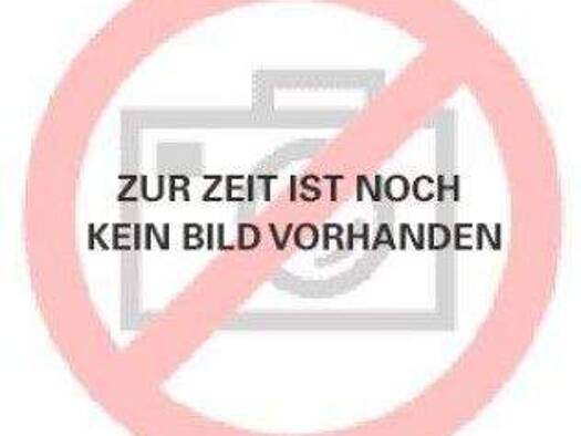 Offene Bürofläche zur Miete provisionsfrei 1.750 € 4 Zimmer 100 m² Bürofläche Grassau 83224
