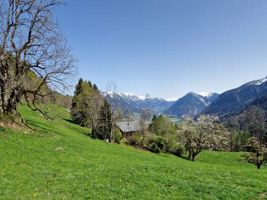 Grundstück zum Kauf 490.000 € 686 m² Grundstück Bürserberg 6707