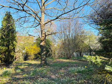 Doppelhaushälfte zum Kauf provisionsfrei 1.383.802 € 6 Zimmer 178 m² 660 m² Grundstück Möhringen Stuttgart / Möhringen 70567