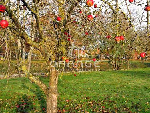 Grundstück zum Kauf 40.000 € 1.000 m² Grundstück Granzin 19386