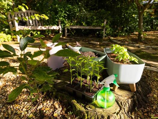 Land-/Forstwirtschaft zur Miete provisionsfrei 150 € 300 m² Grundstück Gries Graz 8055