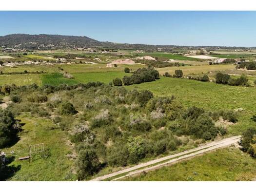 Acker-/Waldstück zum Kauf 20.000 € Vilafranca de Bonany 07250