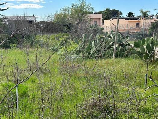 Haus zum Kauf 330.000 € 300 m² Serrano 73025