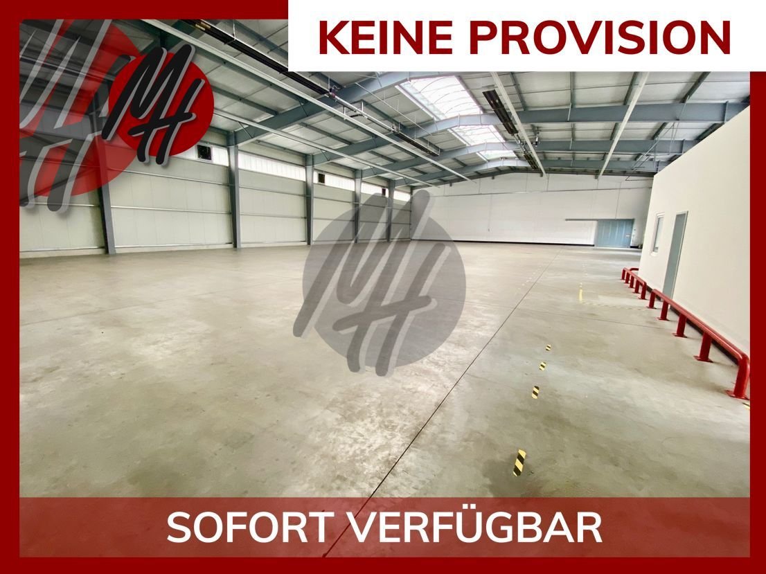 Lagerhalle zur Miete provisionsfrei 5,50 € 1.300 m²<br/>Lagerfläche Neuenhaßlau Hasselroth 63594