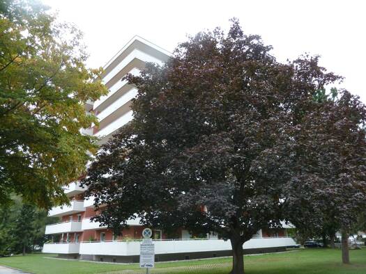 Wohnung zur Miete 580 € 1 Zimmer 41 m² Geschoss 8/9 frei ab 01.05.2026 Westenviertel Regensburg 93049