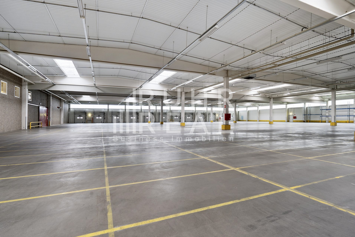 Halle/Industriefläche zur Miete 4.200 m²<br/>Lagerfläche ab 4.200 m²<br/>Teilbarkeit Gremberghoven Köln 51149