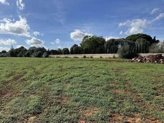 Wohn- und Gewerbegrundstück zum Kauf 390.000 € S'Illot-Cala Morlanda Manacor 07687