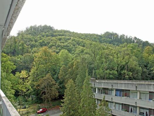 Wohnung zum Kauf 58.000 € 2 Zimmer 52 m² frei ab sofort Bad Harzburg 38667