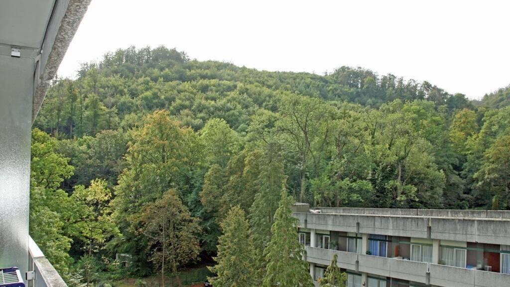 Wohnung zum Kauf 58.000 € 2 Zimmer 52 m² frei ab sofort Bad Harzburg 38667