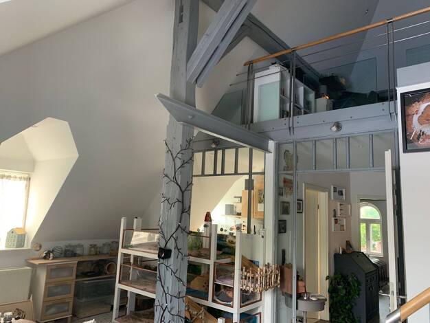 Wohnung zur Miete 780 € 2 Zimmer 80 m² Dachgeschoss, 2. Geschoss frei ab 01.09.2025 Bad Bramstedt 24576