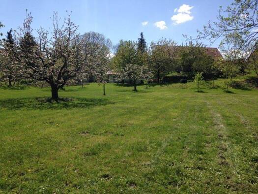 Grundstück zum Kauf 120.000 € 1.300 m² Grundstück Mockrehna 04862