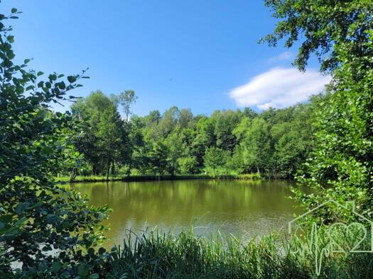 Freizeitgrundstück zum Kauf 11.000 m² Grundstück Stadtschlaining 7461