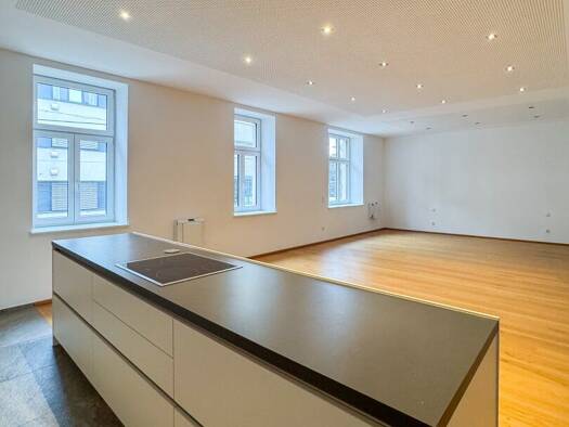 Wohnung zum Kauf 395.000 € 2 Zimmer 114,8 m² 1. Geschoss Hauptstraße Urfahr Linz 4040