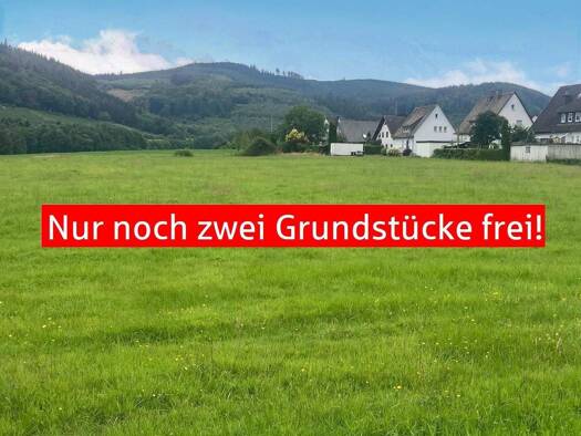 Grundstück zum Kauf 568 m² Grundstück Remblinghausen Meschede 59872