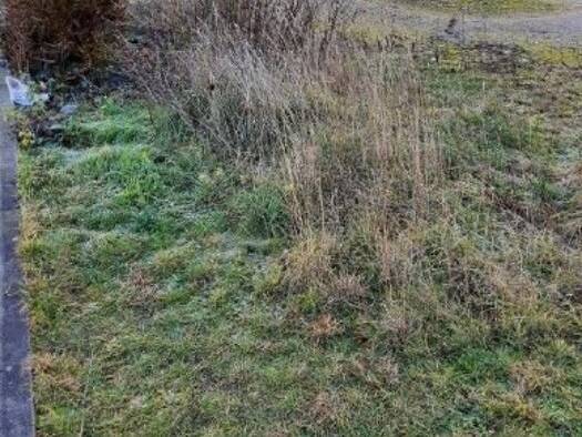 Grundstück zum Kauf 241 m² Grundstück Torgauer Straße Eilenburg Eilenburg 04838