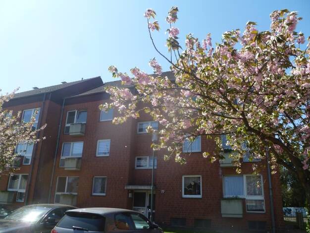 Wohnung zur Miete nur mit Wohnberechtigungsschein 401 € 3,5 Zimmer 73 m² 1. Geschoss frei ab 01.11.2026 Viehaustr. 75 Mariadorf Alsdorf 52477