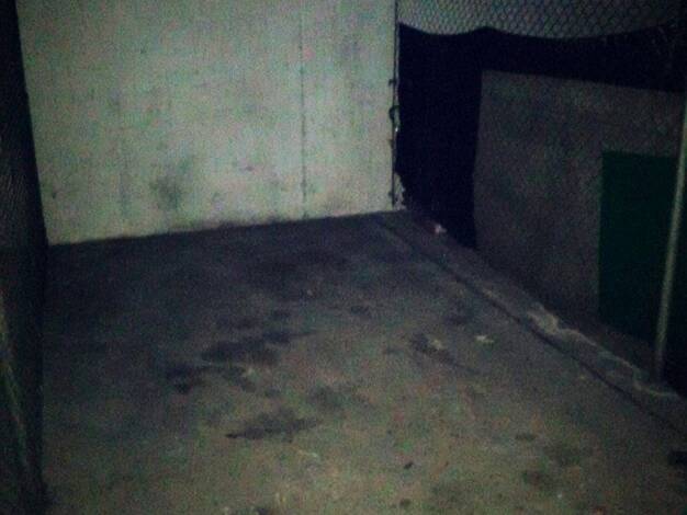 Garage zur Miete provisionsfrei 100 € Drygalski-Allee 118 Thalk.Obersendl.-Forsten-Fürstenr.-Solln München 81477