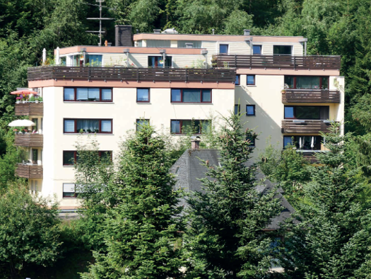 Wohnung zur Miete 375 € 2 Zimmer 50 m² 2. Geschoss frei ab sofort Schonach im Schwarzwald 78136