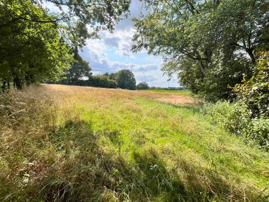 Land-/Forstwirtschaft zum Kauf 59.000 € 4.953 m² Grundstück Altstadt Dorsten / Östrich 46282