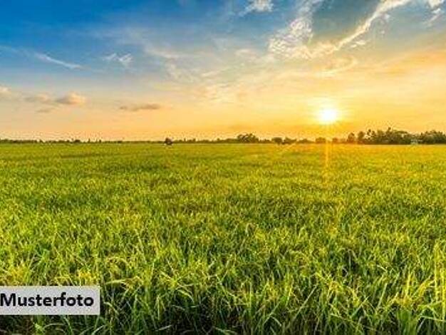 Land-/Forstwirtschaft zum Kauf 19.000 € 9.570 m² Grundstück Klosterhäseler 06647