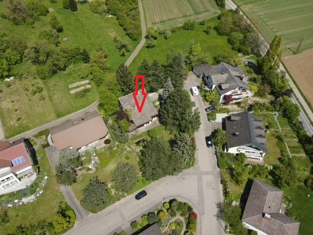 Einfamilienhaus zum Kauf 695.000 € 6 Zimmer 258,1 m²<br/>Wohnfläche 1.255 m²<br/>Grundstück ab sofort<br/>Verfügbarkeit Bohlingen 89 Singen-Bohlingen 78224