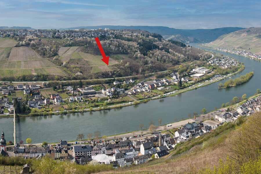 Grundstück zum Kauf 6.800 € 2,4 m²<br/>Grundstück Fl.20, Flst. 159 - oberhalb der B 53 Zell Zell (Mosel) 56856