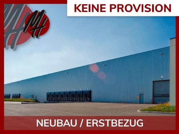 Lagerhalle zur Miete provisionsfrei 50.000 m² Lagerfläche teilbar ab 10.000 m² Gernsheim Gernsheim 64579