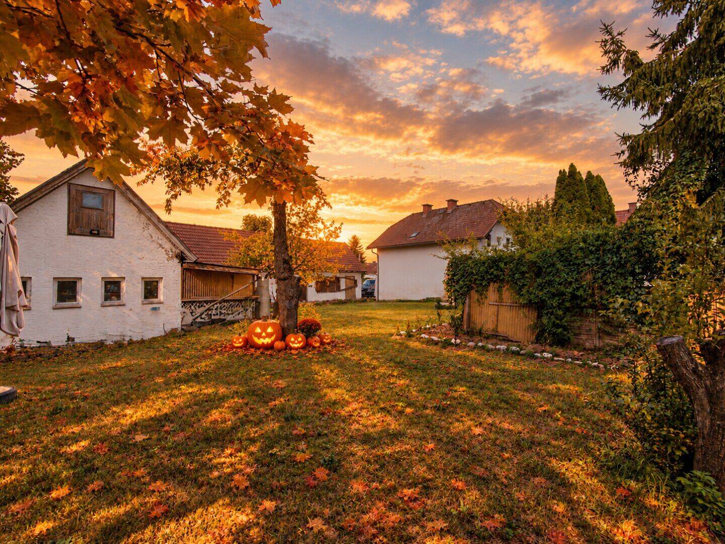 Einfamilienhaus zum Kauf