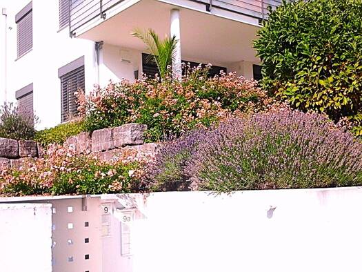 Terrassenwohnung zur Miete 850 € 2,5 Zimmer 66 m² Geschoss EG/2 frei ab sofort Reutin Lindau (Bodensee) 88131