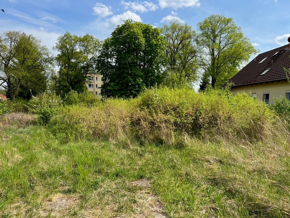 Grundstück zum Kauf 119.700 € 798 m²<br/>Grundstück Feldberg Feldberger Seenlandschaft 17258