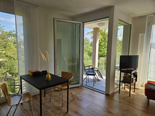 Wohnung zur Miete 745 € 2 Zimmer 42,5 m² 1. Geschoss frei ab 01.11.2026 Hausherrenstraße Radolfzell Radolfzell am Bodensee 78315