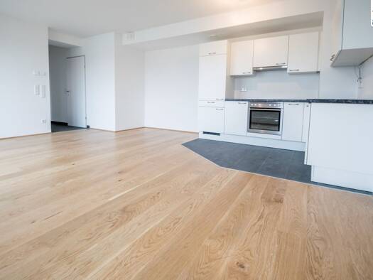 Wohnung zur Miete 709 € 2 Zimmer 49,3 m² 1. Geschoss Marchfeldstraße Brigittenau 1200