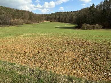Land-/Forstwirtschaft zum Kauf 31.000 € 16.250 m² Grundstück Oberachtel Hirschbach 92275