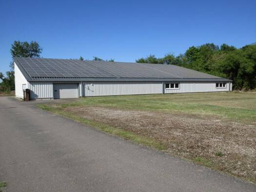 Lagerhalle zum Kauf provisionsfrei 780.000 € 425 m² Lagerfläche Kenzingen Kenzingen 79341
