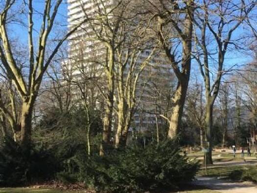 WG-Zimmer zur Miete 720 € 1,5 Zimmer 42 m² Geschoss 10/21 frei ab 01.05.2026 Am Stadtgarten 1 Altstadt Gelsenkirchen 45879