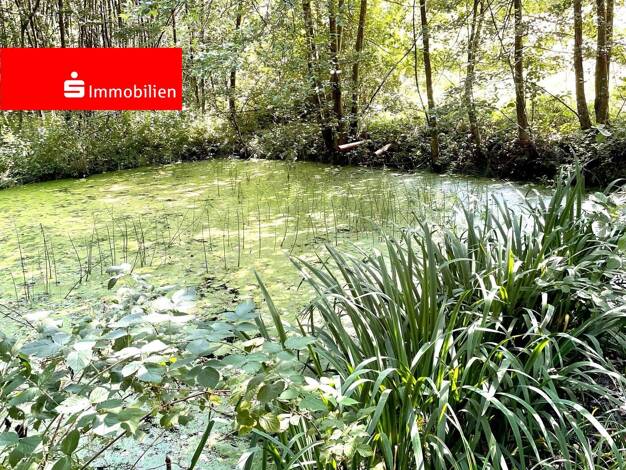 Freizeitgrundstück zum Kauf provisionsfrei 27.500 € 7.331 m² Grundstück frei ab sofort Herborn Herborn 35745