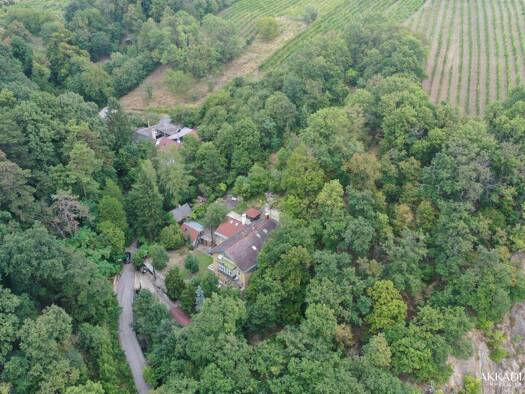 Einfamilienhaus zum Kauf 1.990.000 € 11 Zimmer 272,1 m² Wien 1190