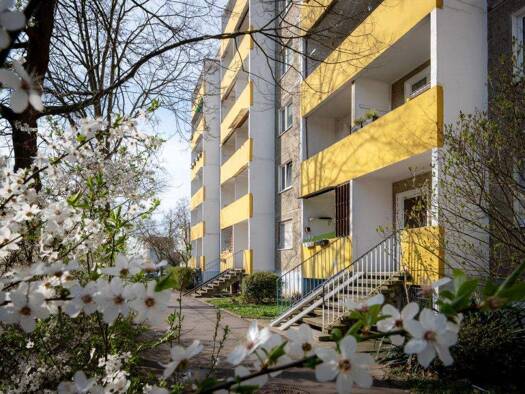 Wohnung zur Miete 285 € 3 Zimmer 56,7 m² 2. Geschoss frei ab 29.05.2026 Wolfgang-Borchert-Straße 73 Westliche Neustadt Halle (Saale) 06126