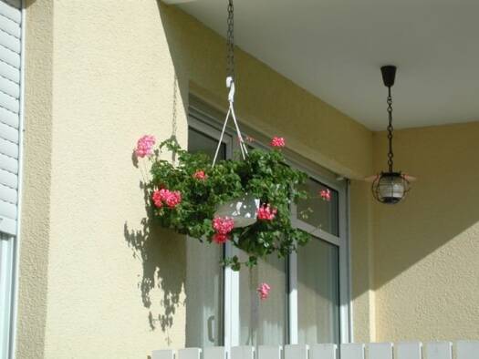 Wohnung zur Miete 949 € 3 Zimmer 95 m² Geschoss -1/4 frei ab 01.11.2026 Dransfeld Dransfeld 37127
