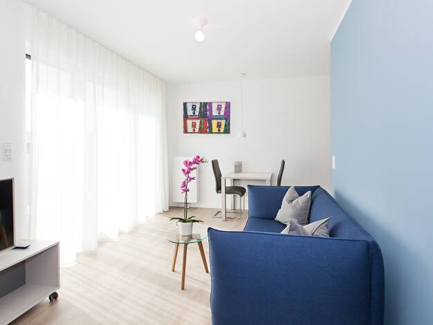 Wohnung zur Miete Wohnen auf Zeit 2.200 € 2 Zimmer 36 m² frei ab sofort Oberschöneweide Berlin 12459
