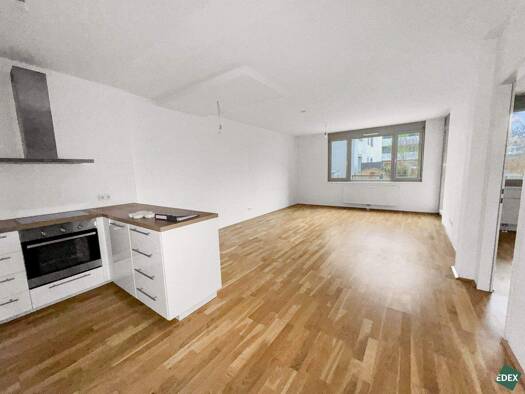 Wohnung zur Miete 1.569 € 4 Zimmer 116 m² EG Wien 1210