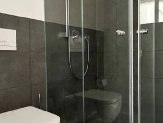 Wohnung zur Miete 540 € 1 Zimmer 27 m² frei ab 01.08.2026 Gostenhof Nürnberg 90443