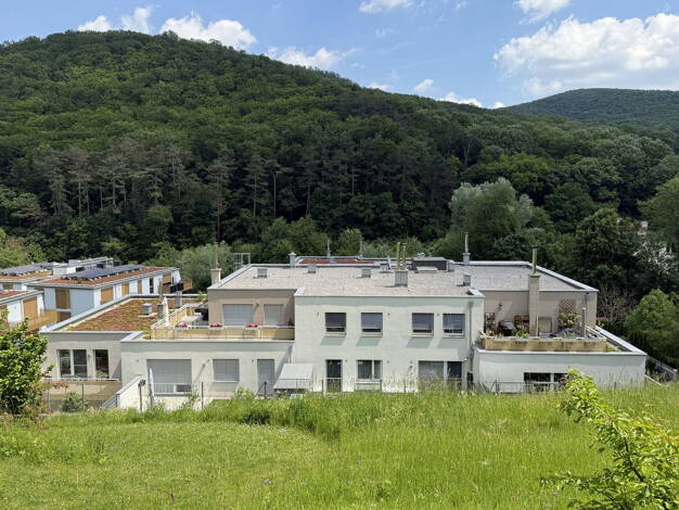 Wohnung zum Kauf provisionsfrei 595.000 € 4 Zimmer 87,6 m² EG Purkersdorf 3002