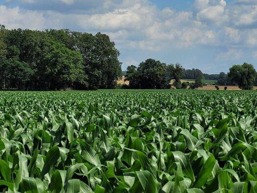 Land-/Forstwirtschaft zum Kauf 190.000 € 149.400 m² Grundstück Putlitz 16949