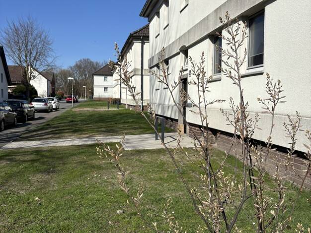 Wohnung zur Miete 484 € 3,5 Zimmer 51,7 m² EG frei ab 01.07.2026 An der Vogelscher 5 Alstedde Lünen 44534