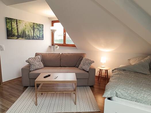Studio zur Miete 616 € 1 Zimmer 33 m² frei ab sofort Paulusviertel Halle (Saale) 06108