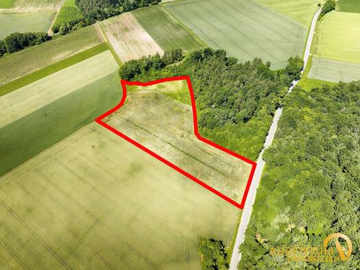 Land-/Forstwirtschaft zum Kauf 190.000 € 18.386 m² Grundstück Sandharlanden Abensberg 93326
