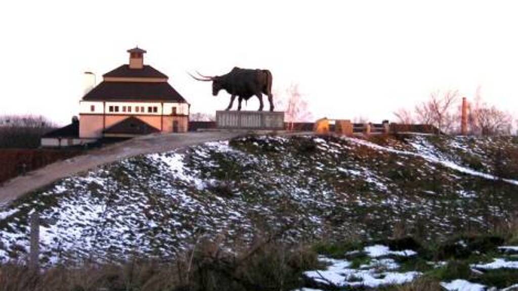 Haus zum Kauf 369.000 € 1 Zimmer 400 m² 1.259 m² Grundstück Rakvere 44306